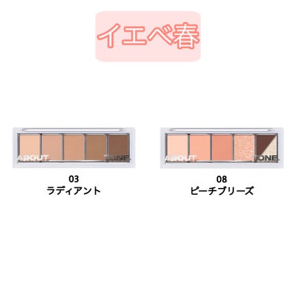 リターントゥーベーシックシャドウパレット 02 ソフト/ABOUT TONE/アイシャドウパレットを使ったクチコミ(2枚目)