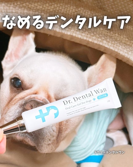 ドクターデンタルワン/サンテミナ/その他オーラルケアを使ったクチコミ(1枚目)