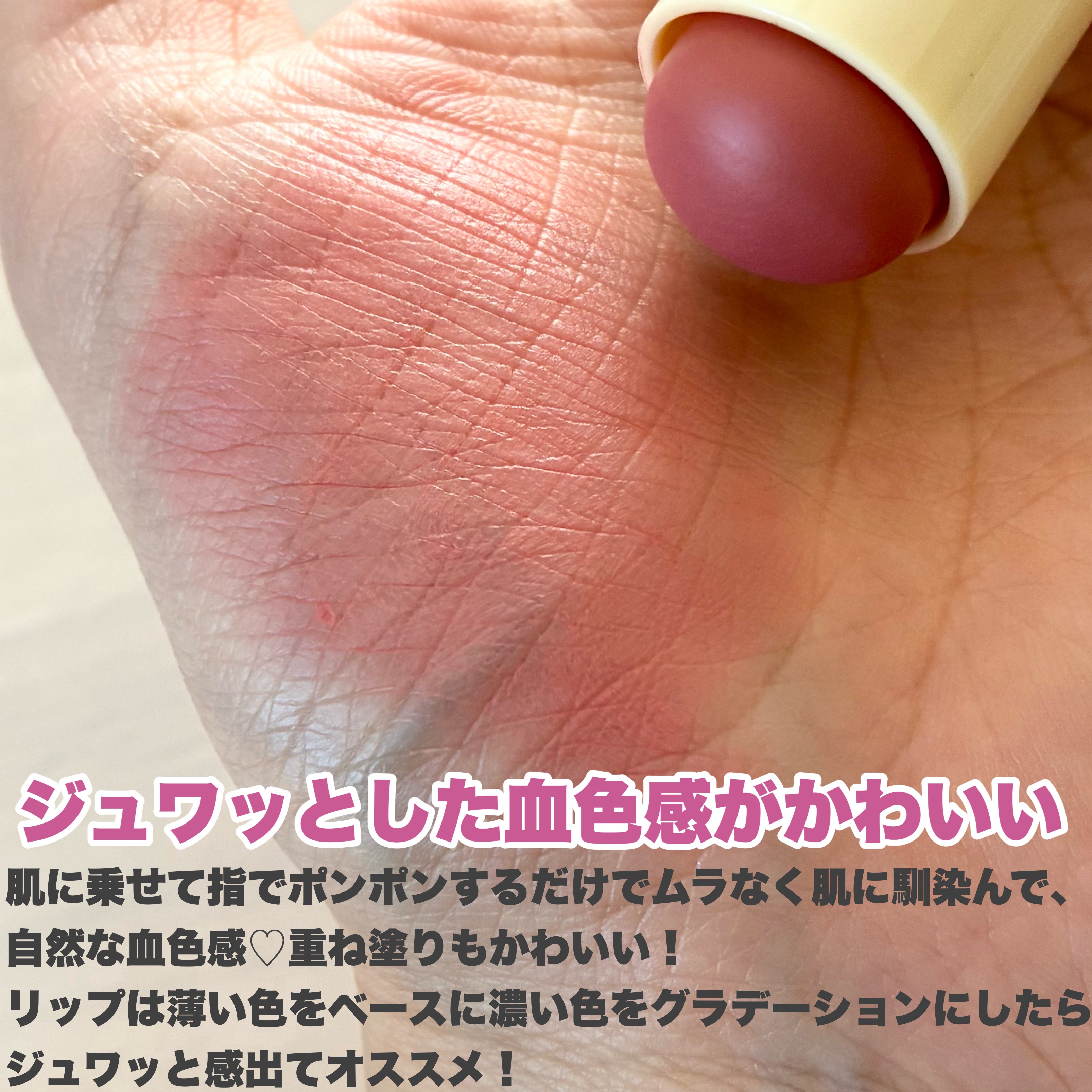 プチブール リップ＆チーク/Coralhaze/口紅を使ったクチコミ（3枚目）