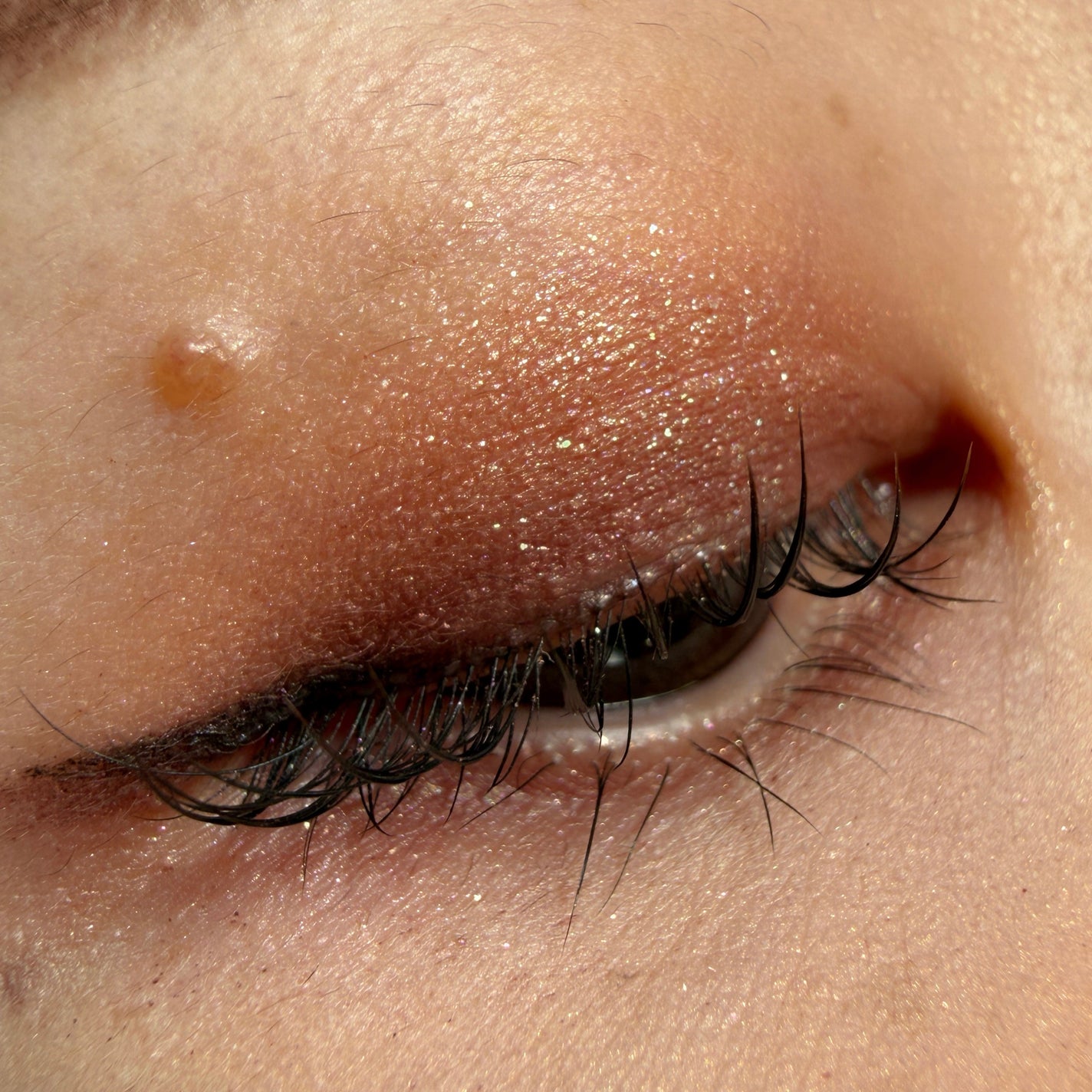 アイカラーレーション/LUNASOL/アイシャドウパレットを使ったクチコミ(3枚目)