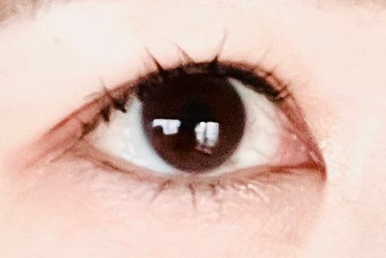 MAJOLICA MAJORCA ラッシュジェリードロップ EXのクチコミ「みなさんの投稿を見て購入してみました♡
肌だけじゃなくて、まつ毛のケアもしてみたいって思い.....」(3枚目)