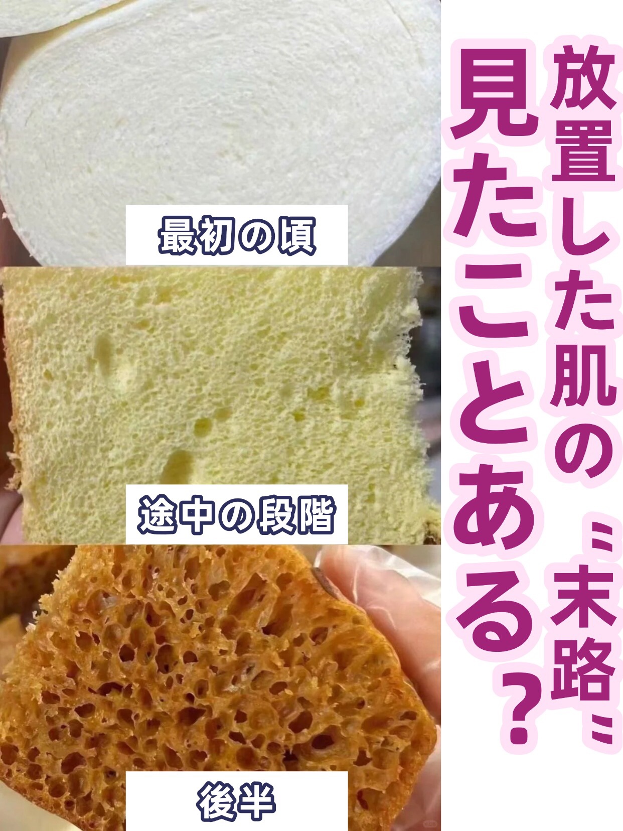 アネトス バランシング トリートメントクリーム/Anetos/フェイスクリームを使ったクチコミ（1枚目）