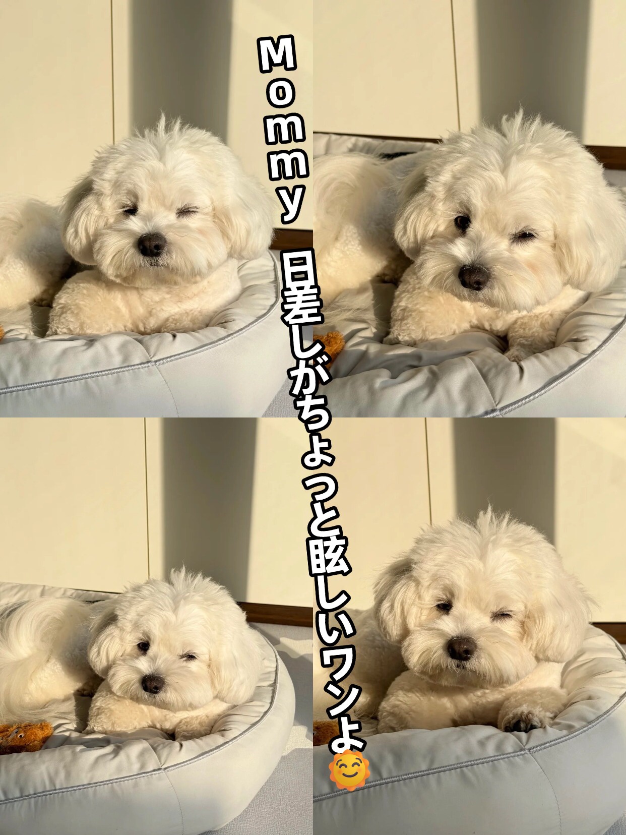 アネトス バランシング トリートメント トナー /Anetos/化粧水を使ったクチコミ（2枚目）