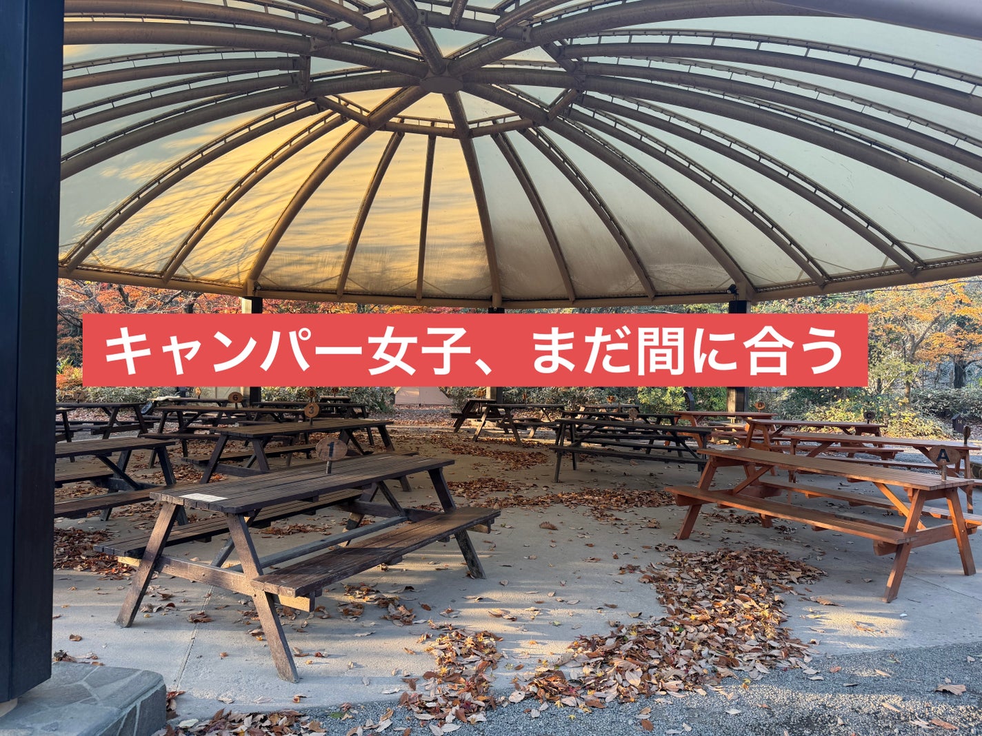 ビーベルベットカバークッション/espoir/クッションファンデーションを使ったクチコミ(1枚目)