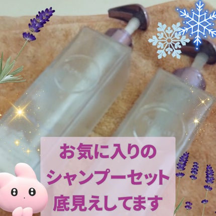 Purunt. プルント リライトペアセット ホワイトラベンダーのクチコミ「季節限定のプルントのシャンプー
底見えしてきました
髪の様子は??
☁︎.*・゚┈┈┈┈┈┈┈.....」(1枚目)