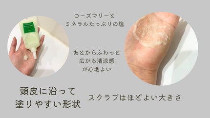 ローズマリー スカルプ スクラブ/AROMATICA/ヘッドスクラブを使ったクチコミ(3枚目)