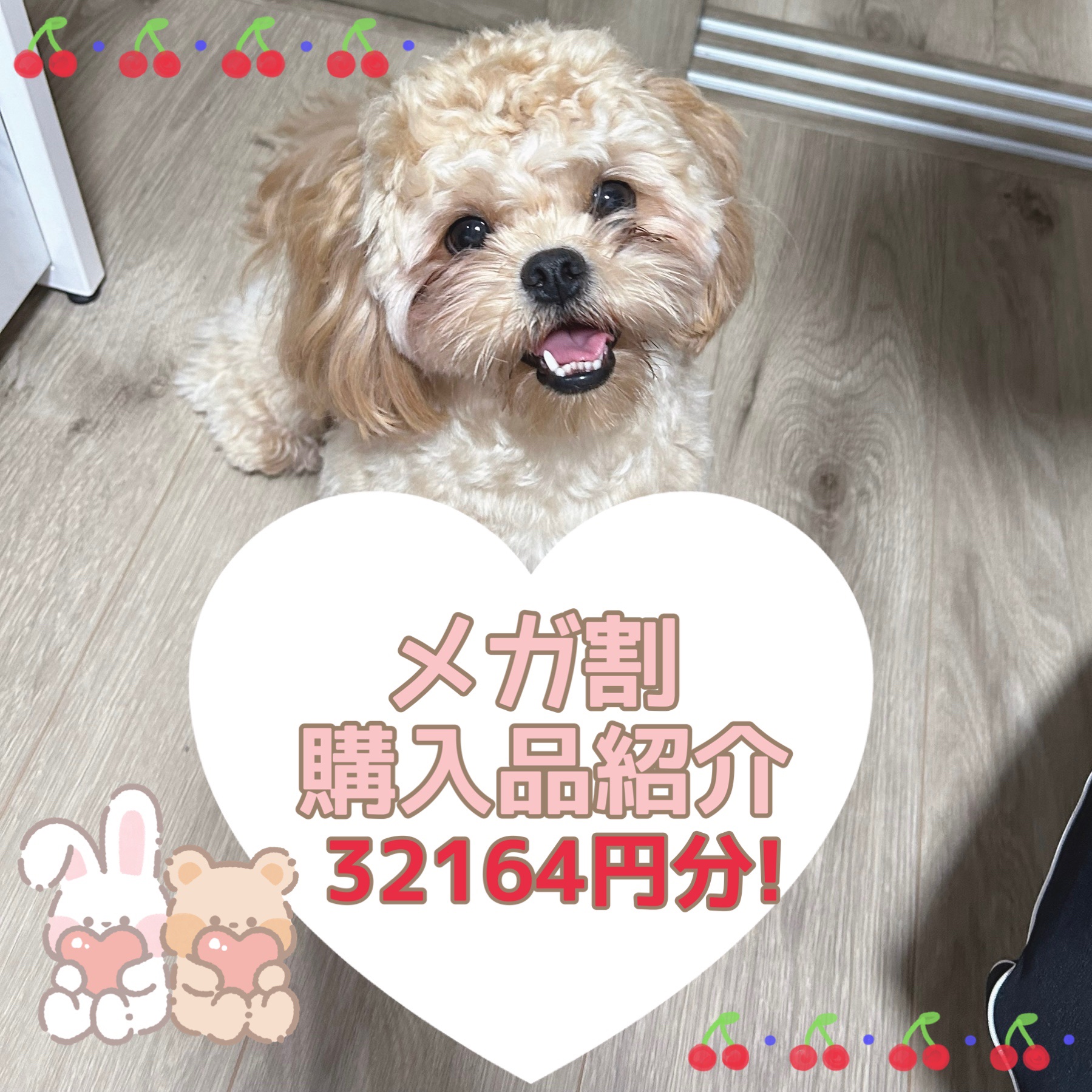 ポアブラー パクト/innisfree/プレストパウダーを使ったクチコミ（1枚目）