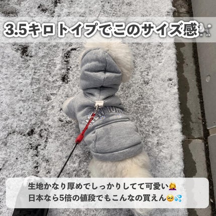 SHEIN ポーチ/SHEIN/化粧ポーチを使ったクチコミ(7枚目)