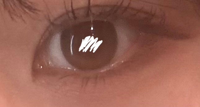 ベターミーアイパレット/2aN/マルチパレットを使ったクチコミ(1枚目)