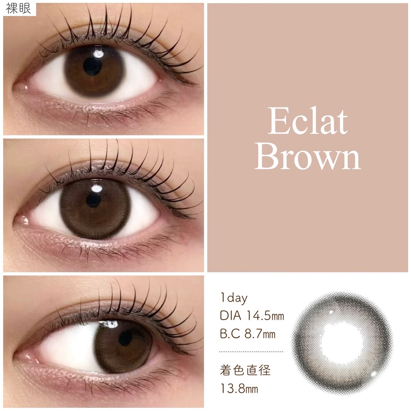 Mifée 1day/Mifée/ワンデー(1DAY)カラコンを使ったクチコミ(2枚目)