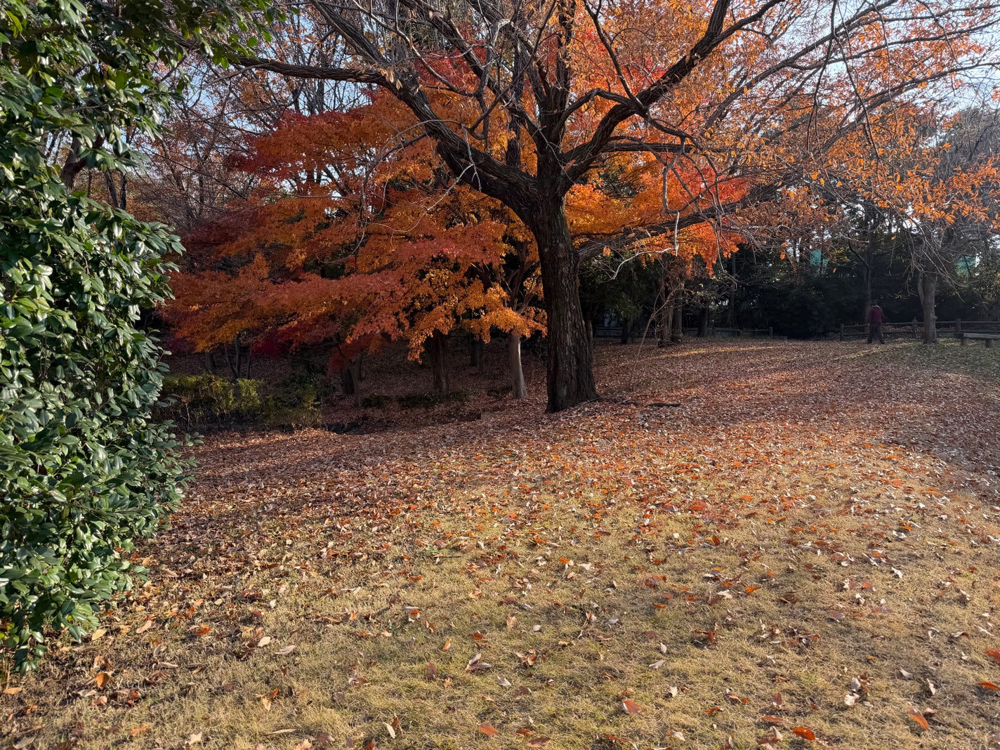 ビーベルベットカバークッション/espoir/クッションファンデーションを使ったクチコミ(2枚目)