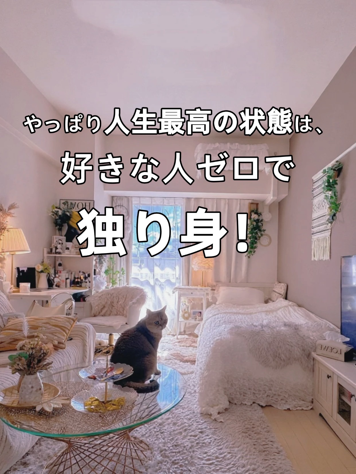 アネトス バランシング トリートメントクリーム/Anetos/フェイスクリームを使ったクチコミ（1枚目）