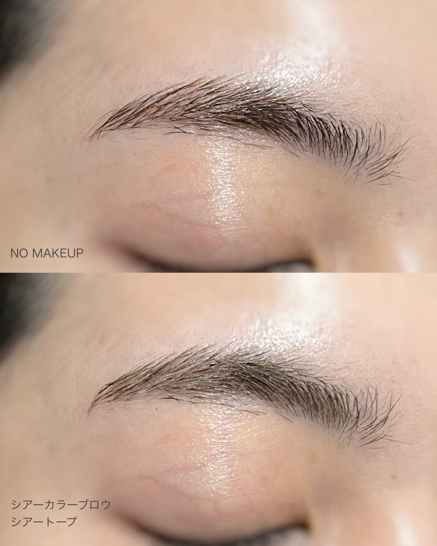 ã·ã¢ãŒã«ã©ãŒãããŠ/ããžã£ãŽã¥/çãã¹ã«ã©ã䜿ã£ãã¯ãã³ãïŒ3æç®ïŒ