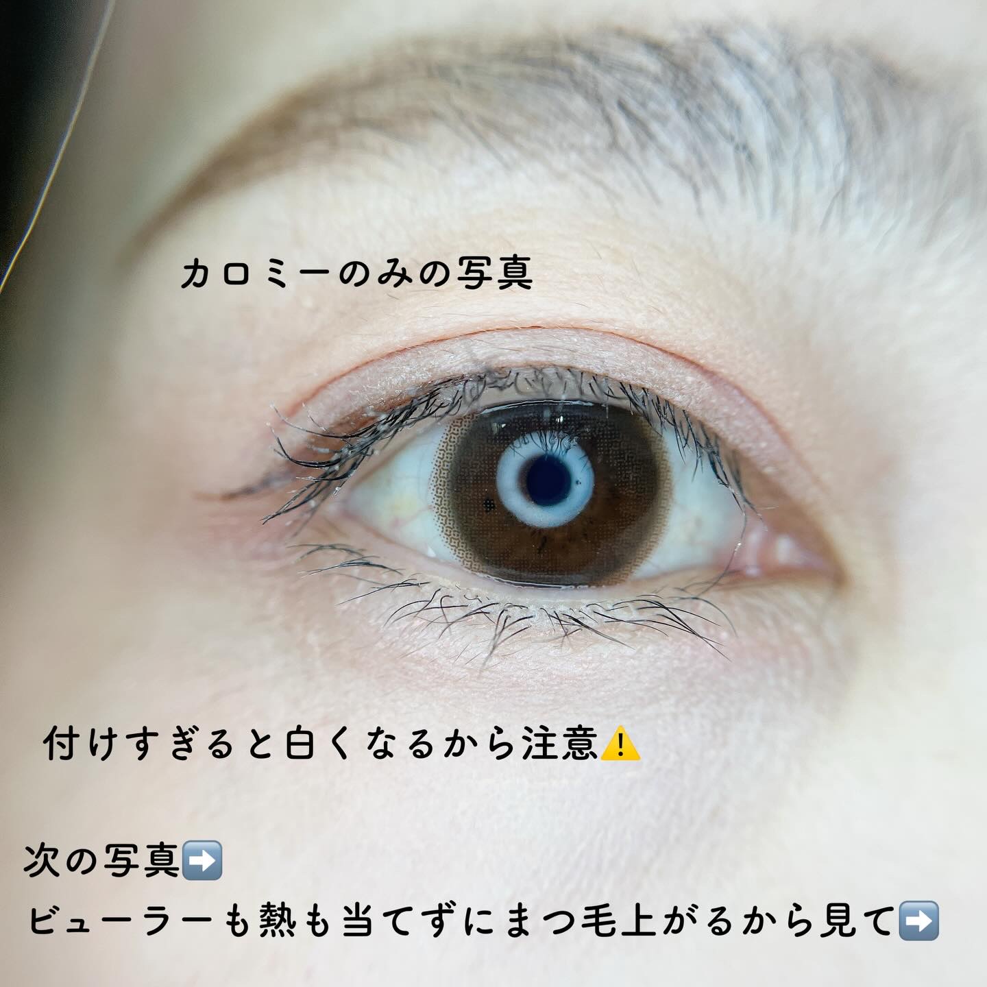 カールメモライズラッシュセラム/CAROME./まつげ美容液を使ったクチコミ（3枚目）