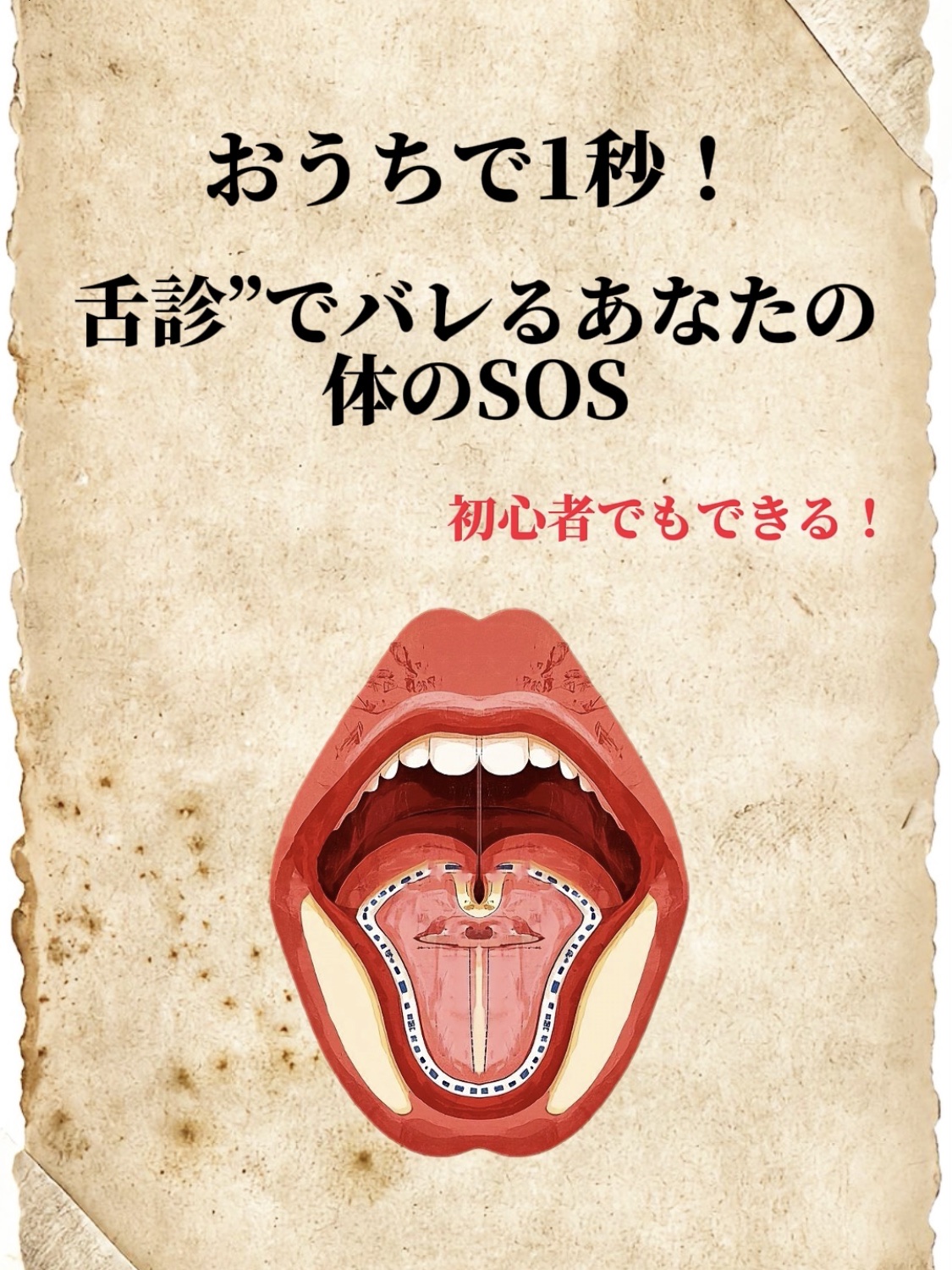 アネトス バランシング トリートメントクリーム/Anetos/フェイスクリームを使ったクチコミ（1枚目）