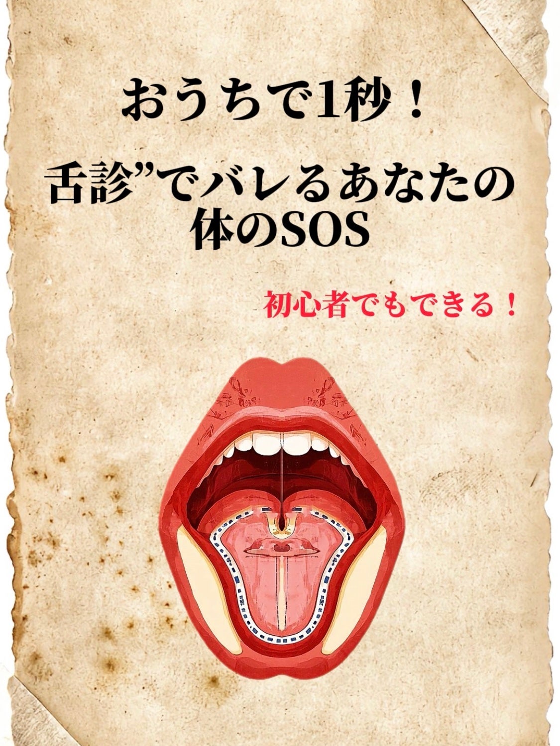 アネトス バランシング トリートメントクリーム/Anetos/フェイスクリームを使ったクチコミ(1枚目)