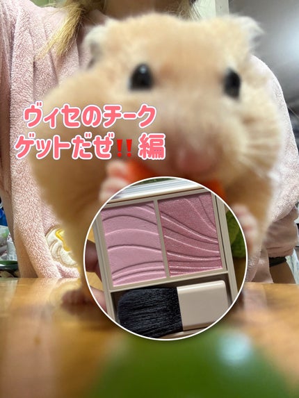 レイヤード フルリ チーク/Visée/パウダーチークを使ったクチコミ(1枚目)