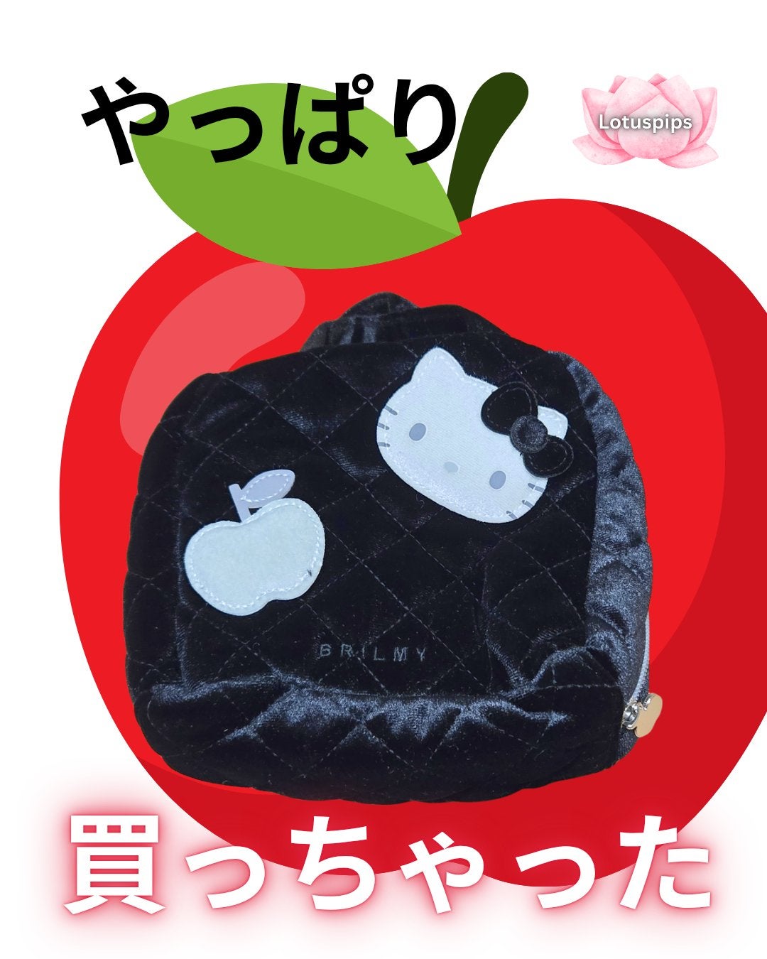 HELLO KITTY × BRILMY 中身が見えて時短がかなう ズボラに優しいコスメポーチ BOOK VELOUR BLACK ver./BRILMY/雑誌を使ったクチコミ(1枚目)