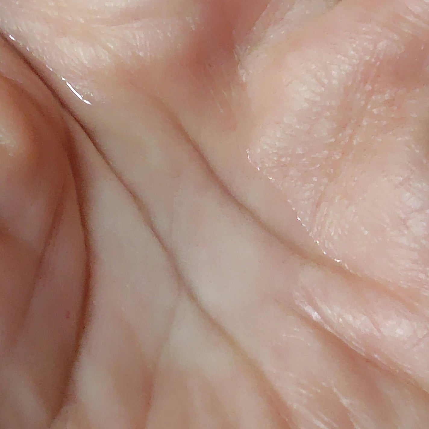 スムース コンディショニング ウォーター/melt/アウトバストリートメントを使ったクチコミ(3枚目)