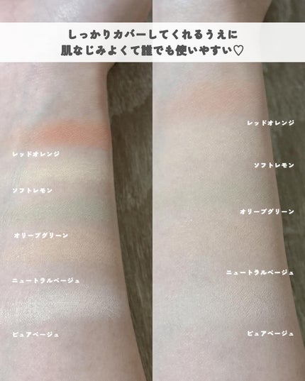 コンシールブレンダーパレット/LUNA/パレットコンシーラーを使ったクチコミ(4枚目)