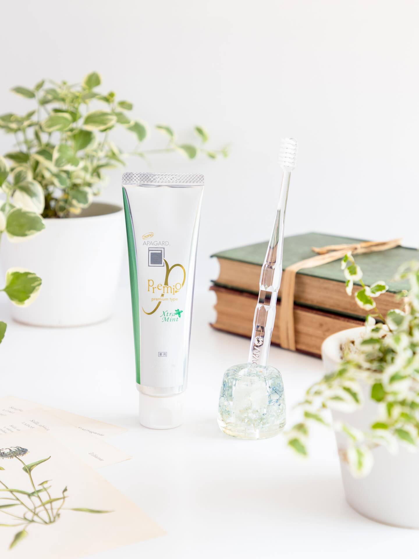 ⁡
午後、ちょっとリフレッシュしたいときに。
エクストラミントの清涼感がちょうどいい🍃✨
⁡
#アパガードプレミオ のリッチな使い心地に、
スーッと広がる爽快フレーバーがプラスされて
気持ちもすっきり🪥💚
⁡
気分を切り替えたい時にも