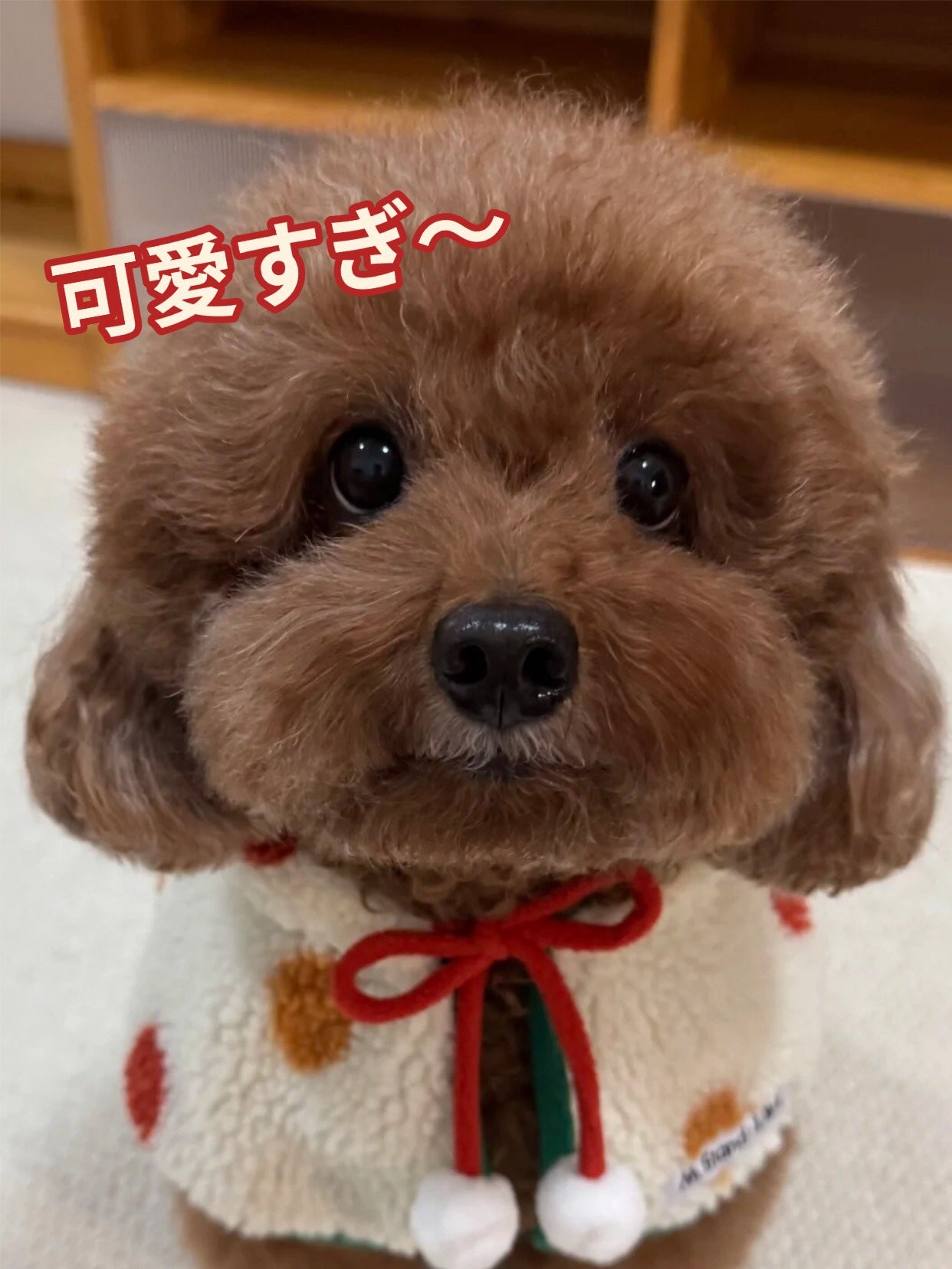 アネトス バランシング トリートメント トナー /Anetos/化粧水を使ったクチコミ(1枚目)