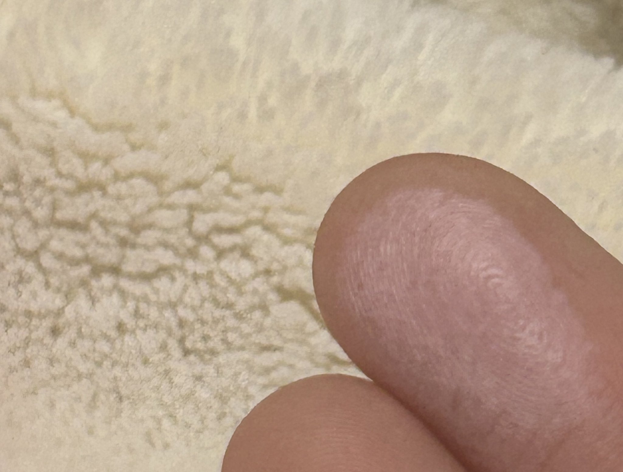 チークステイン ブラッシャー 09 フラーティング ピンク/VDL/パウダーチークを使ったクチコミ（3枚目）