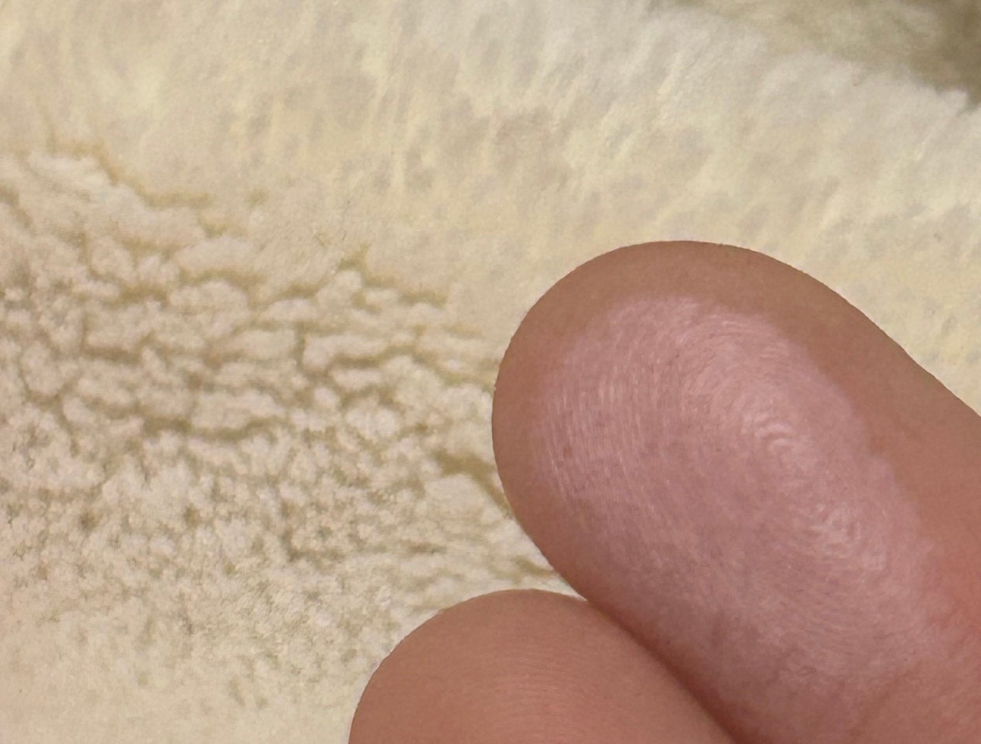 チークステイン ブラッシャー/VDL/パウダーチークを使ったクチコミ(3枚目)