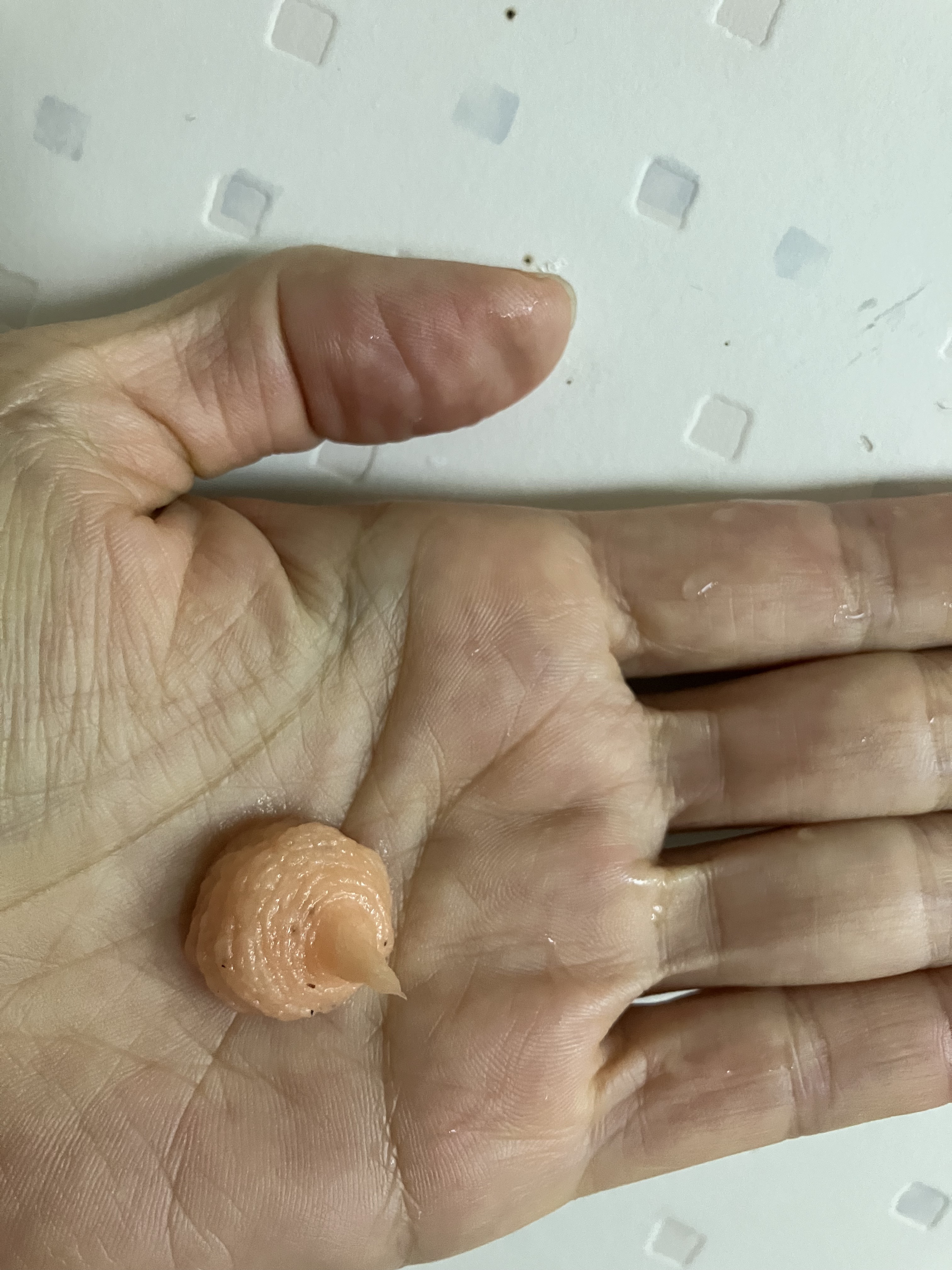 桃ナイアシンスプレッドクレンジングフォーム/Anua/洗顔フォームを使ったクチコミ（2枚目）