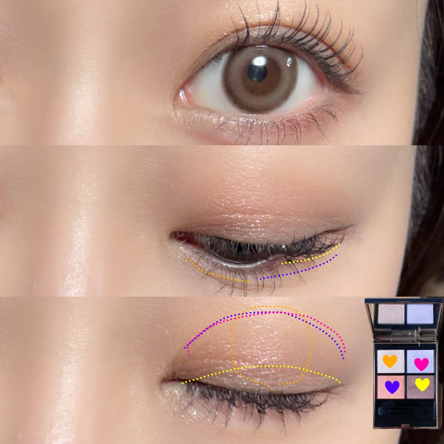 ルナソル アイカラーレーションN/LUNASOL/アイシャドウパレットを使ったクチコミ(2枚目)