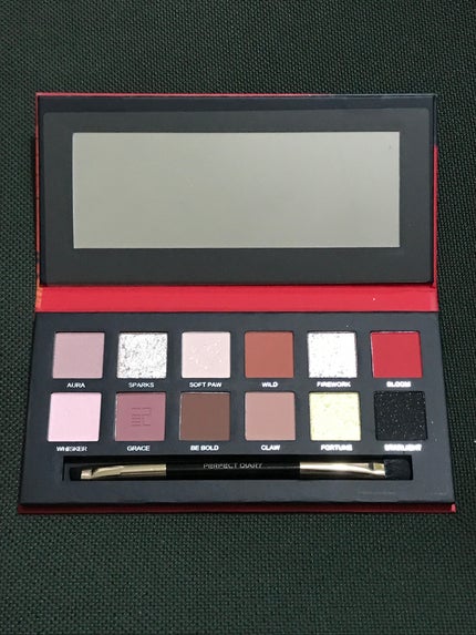 エクスプローラ12色 動物アイシャドウパレット/PERFECT DIARY/アイシャドウパレットを使ったクチコミ(2枚目)