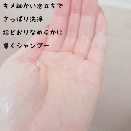 ã·ã£ã³ããŒ/ããªãŒãã¡ã³ã/Rubian Royal/åžè²©ã·ã£ã³ããŒã䜿ã£ãã¯ãã³ãïŒ2æç®ïŒ