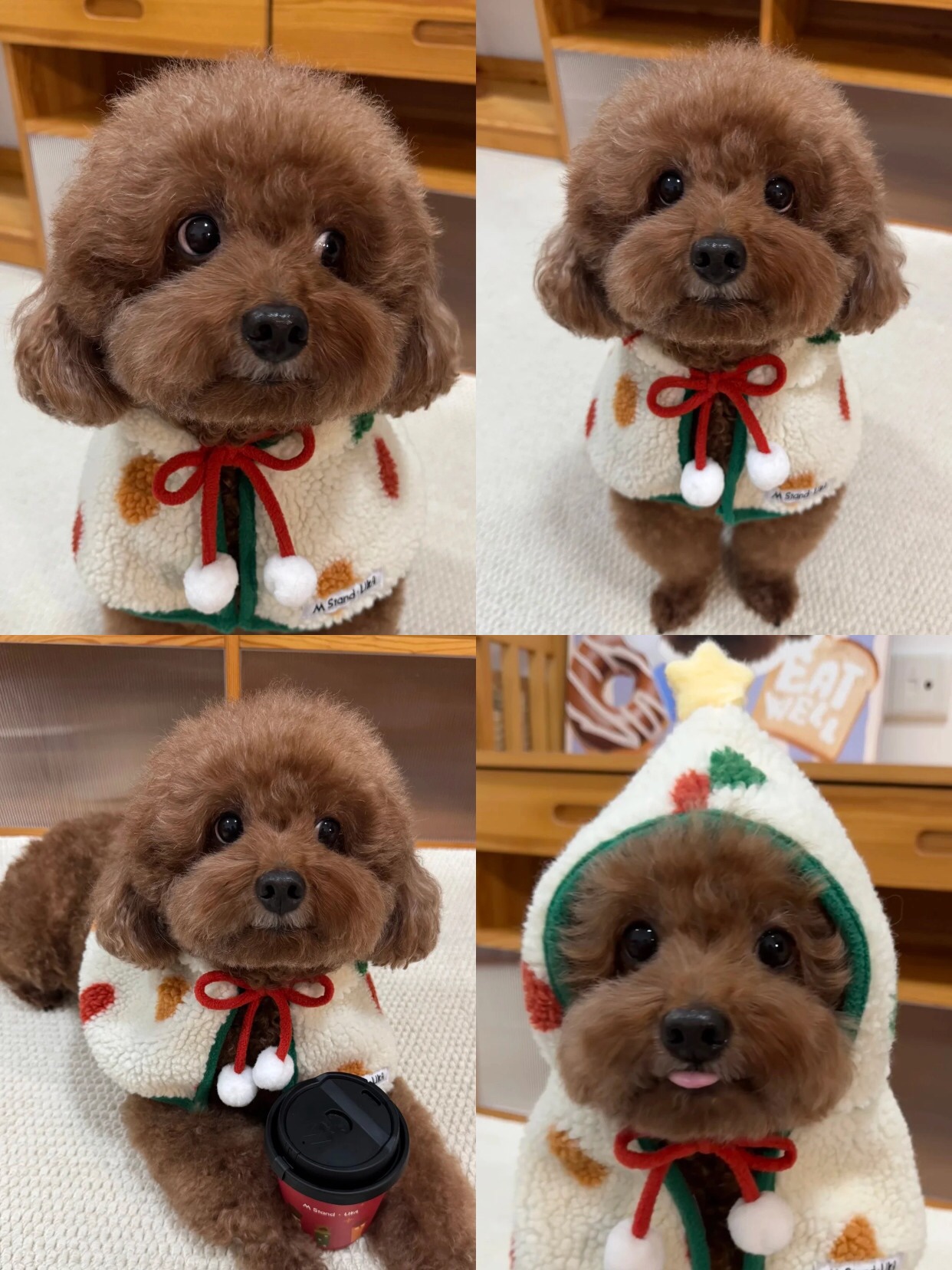 アネトス バランシング トリートメント トナー /Anetos/化粧水を使ったクチコミ（2枚目）