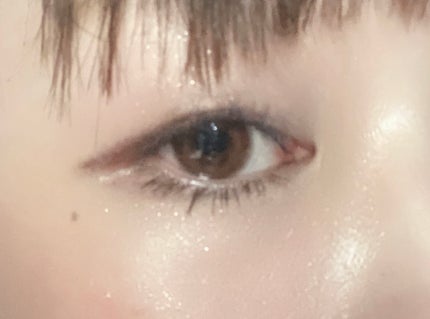 ラメマニア/キャンメイク/アイシャドウを使ったクチコミ(1枚目)