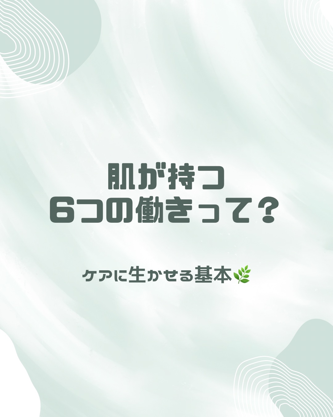 肌が持つ6つの働きって？
ケアに生かせる基本🌿

⸻

肌って「守る」「感じる」など、実は6つもの大事な役割を持ってます✨
それを知っておくと、日々のスキンケアで“どこを気にすれば良いのか”が分かりやすくなるよ🤍

⸻

🌸 1. 保