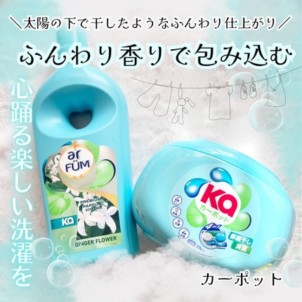 カーポッド 部屋干しEX/王子製薬/洗濯洗剤を使ったクチコミ(1枚目)