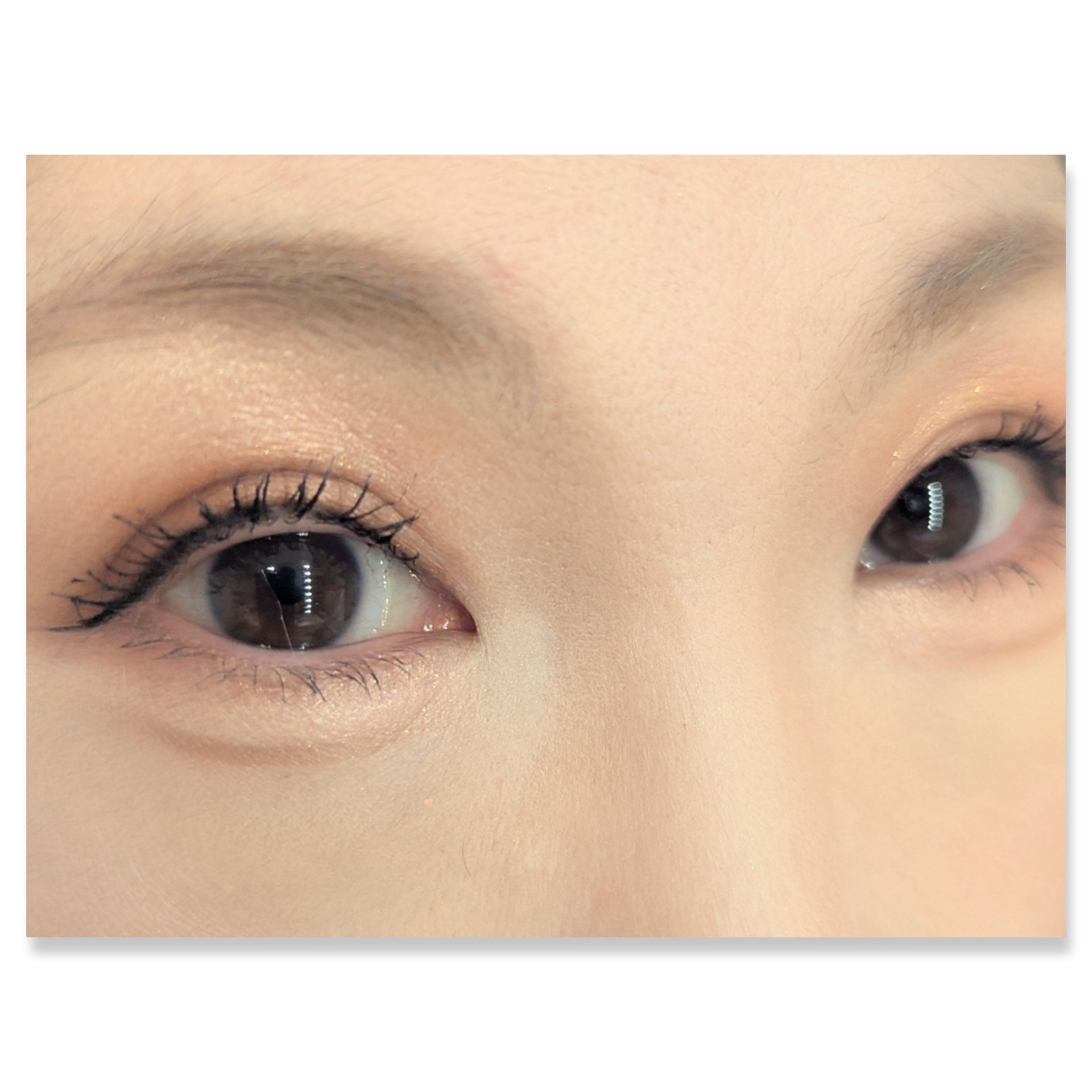 ザ スキン アイシャドウ パレット/perse/アイシャドウパレットを使ったクチコミ（2枚目）