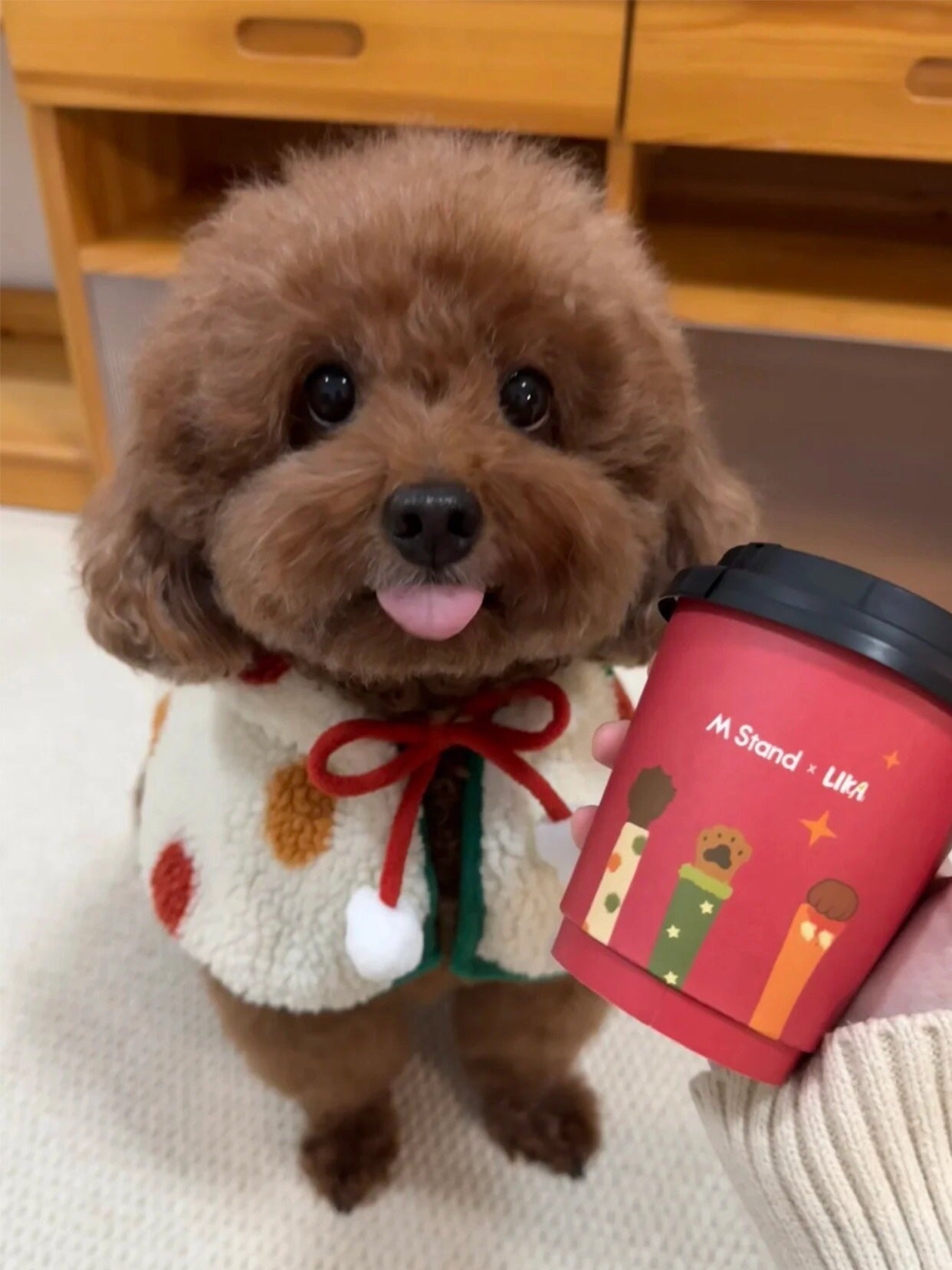 アネトス バランシング トリートメント トナー /Anetos/化粧水を使ったクチコミ(3枚目)