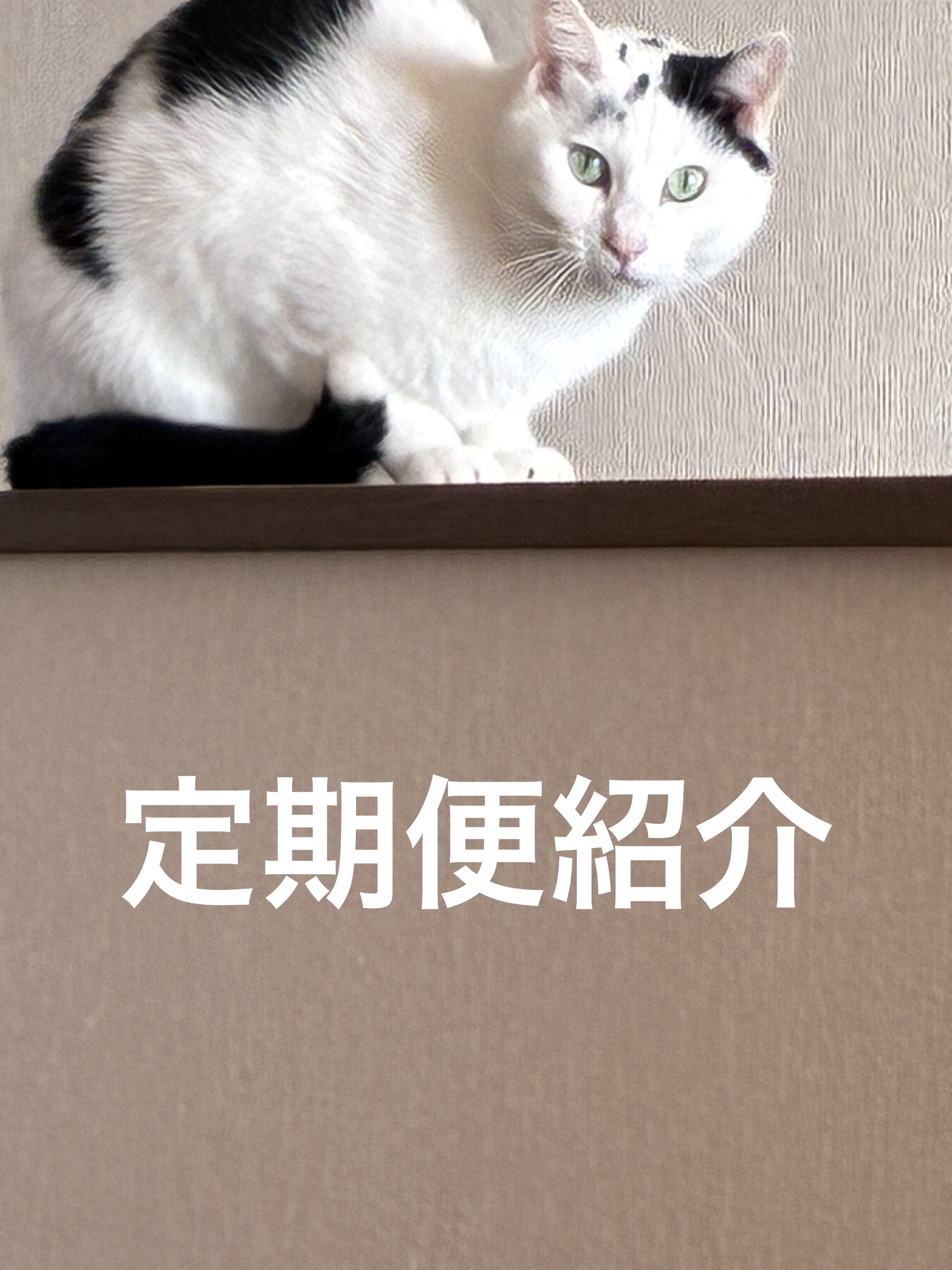 ウォータリーシャンプーの香り オードトワレ/アクアシャボン/香水(レディース)を使ったクチコミ（1枚目）