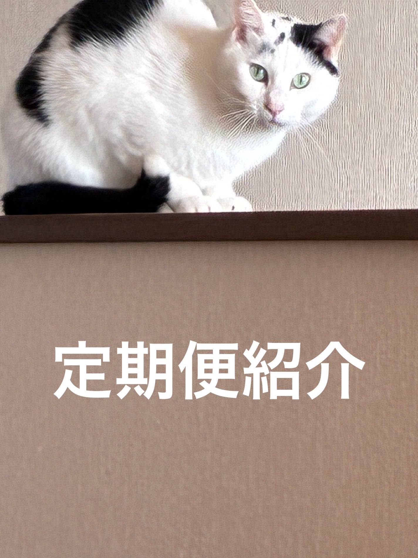 ウォータリーシャンプーの香り オードトワレ/アクアシャボン/香水(レディース)を使ったクチコミ(1枚目)