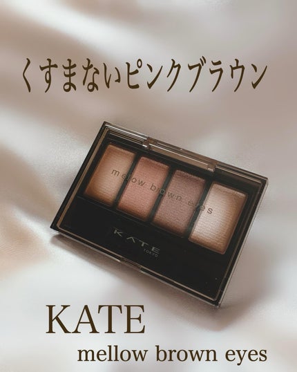 ケイト メロウブラウンアイズ/KATE/アイシャドウパレットを使ったクチコミ(1枚目)