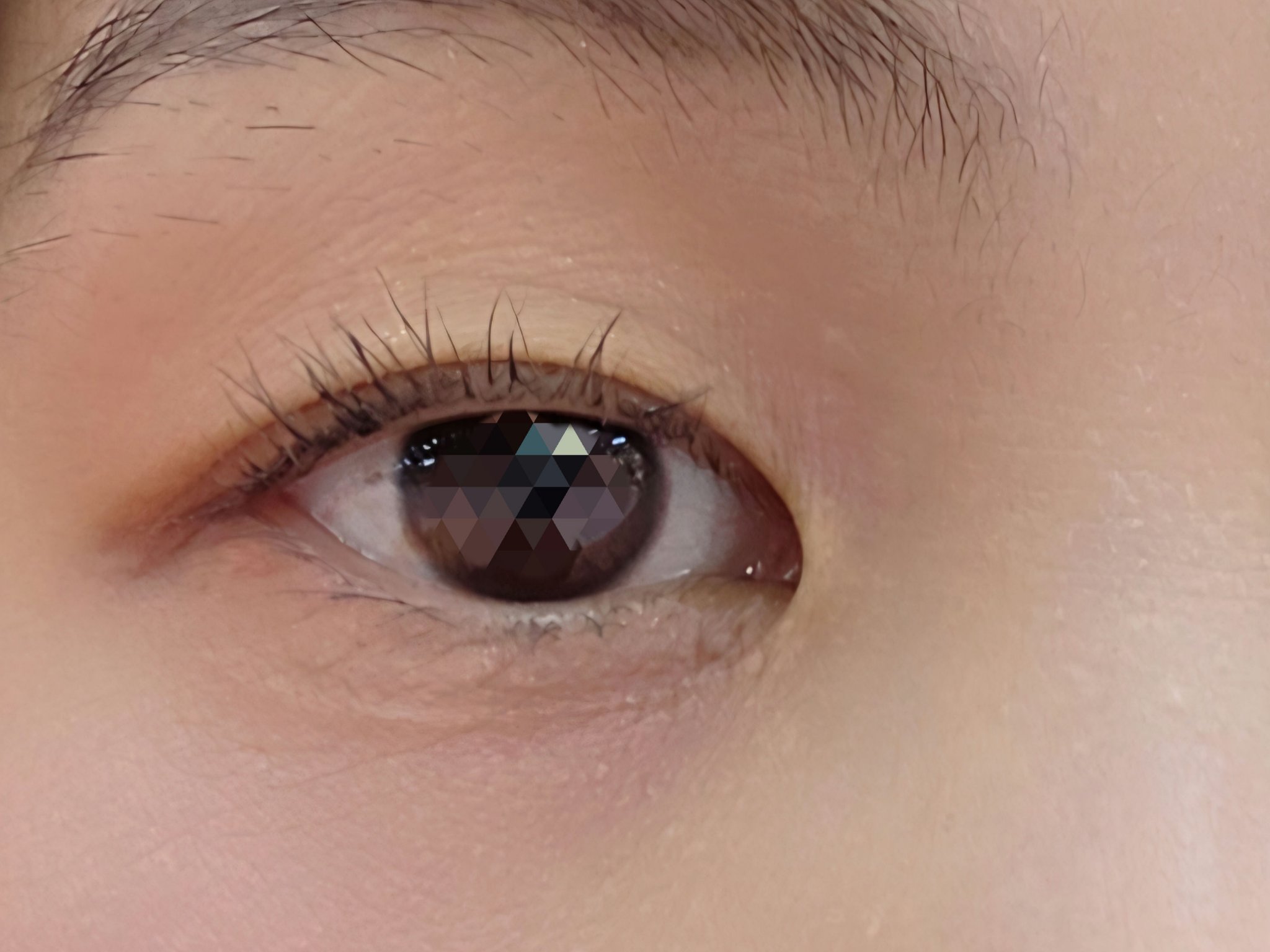 ソフトブラーリングアイパレット/wakemake/アイシャドウパレットを使ったクチコミ（2枚目）