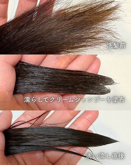 オールインワンクリームシャンプー/スプレーゼ /市販シャンプーを使ったクチコミ(5枚目)