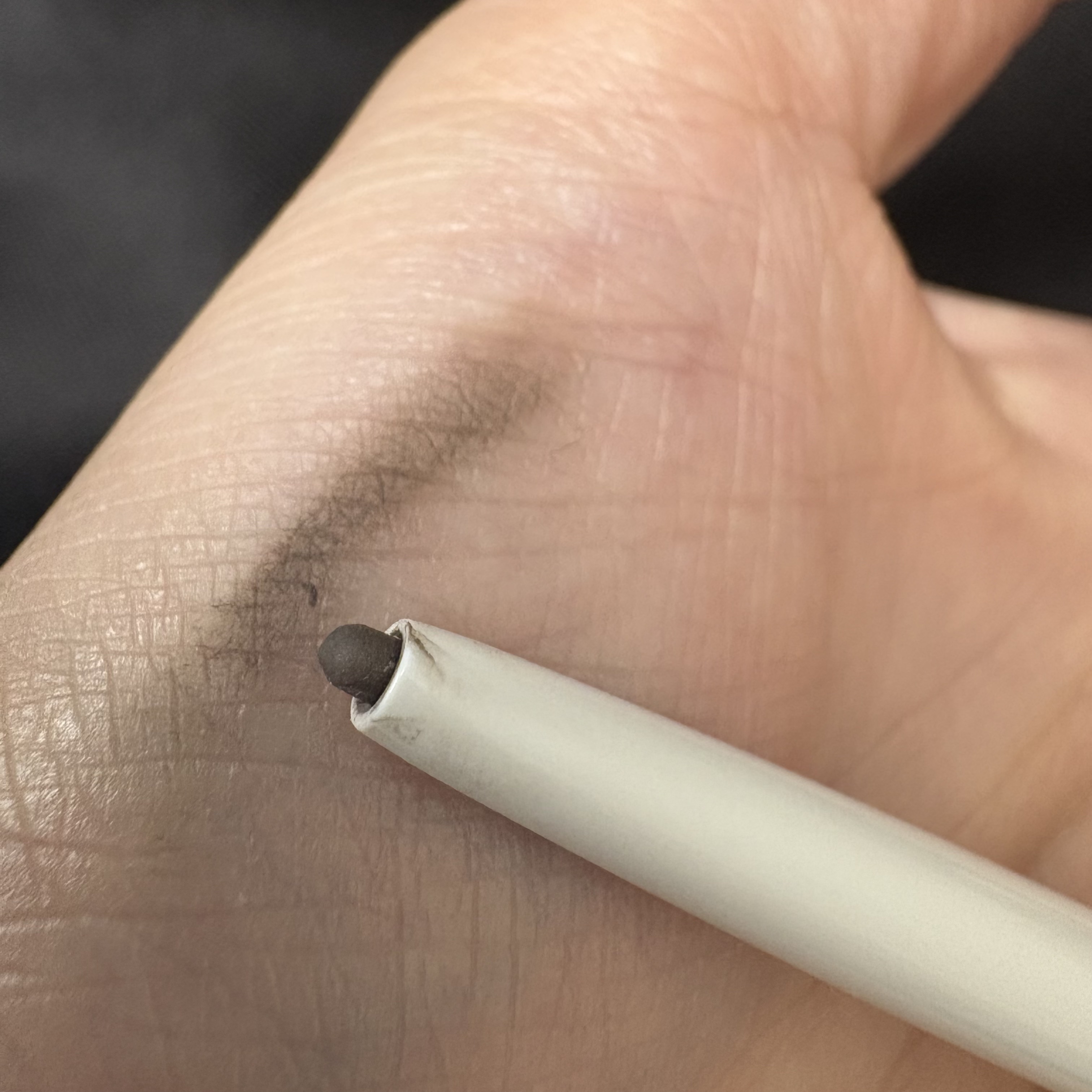 サナ ニューボーン イージーアイブロウ/サナ ニューボーン/アイブロウペンシルを使ったクチコミ（2枚目）