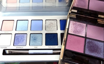 エクスプローラ12色 動物アイシャドウパレット/PERFECT DIARY/アイシャドウパレットを使ったクチコミ(5枚目)