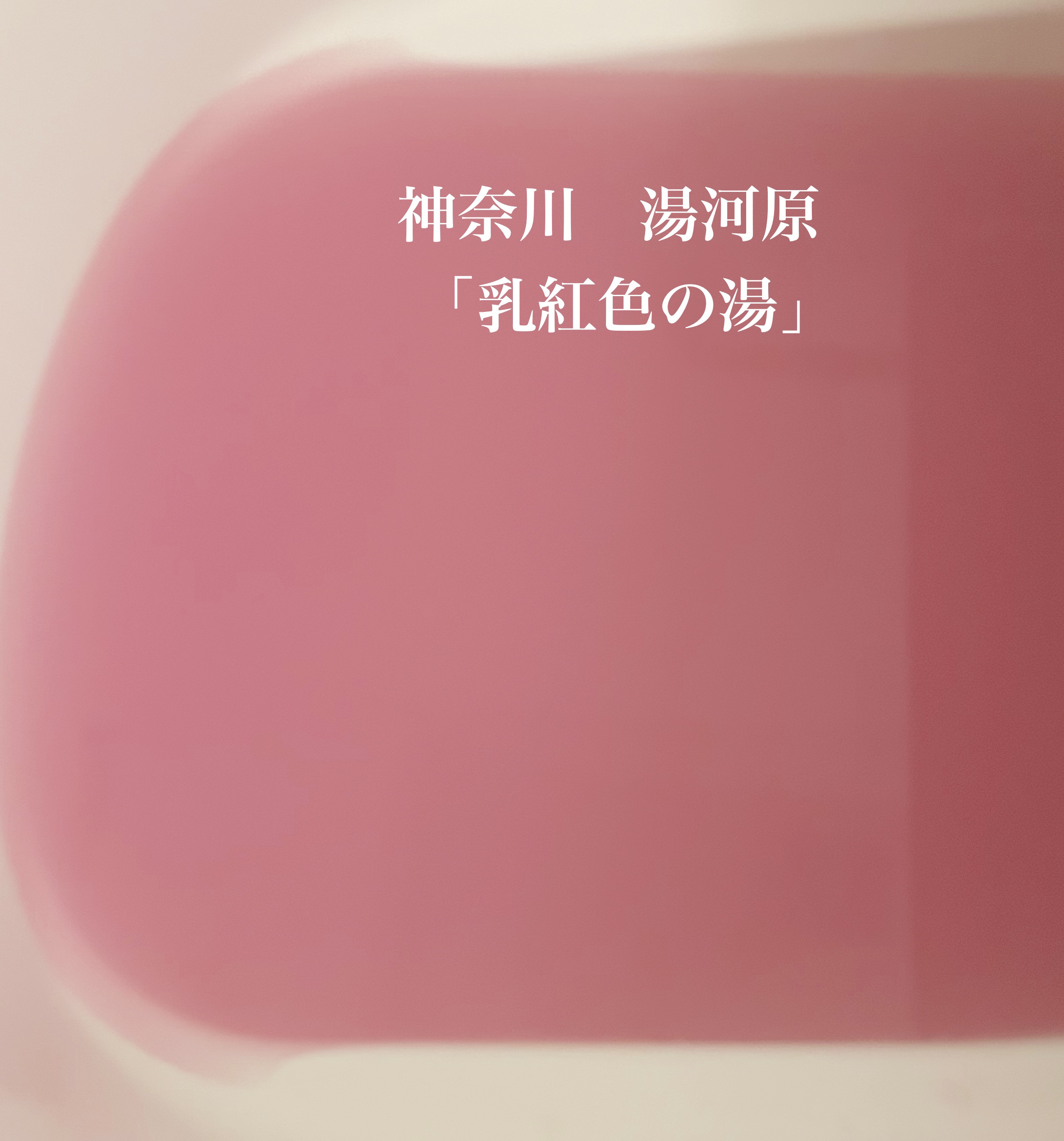 にごり湯の宿/いい湯旅立ち/無機塩系入浴剤を使ったクチコミ（2枚目）