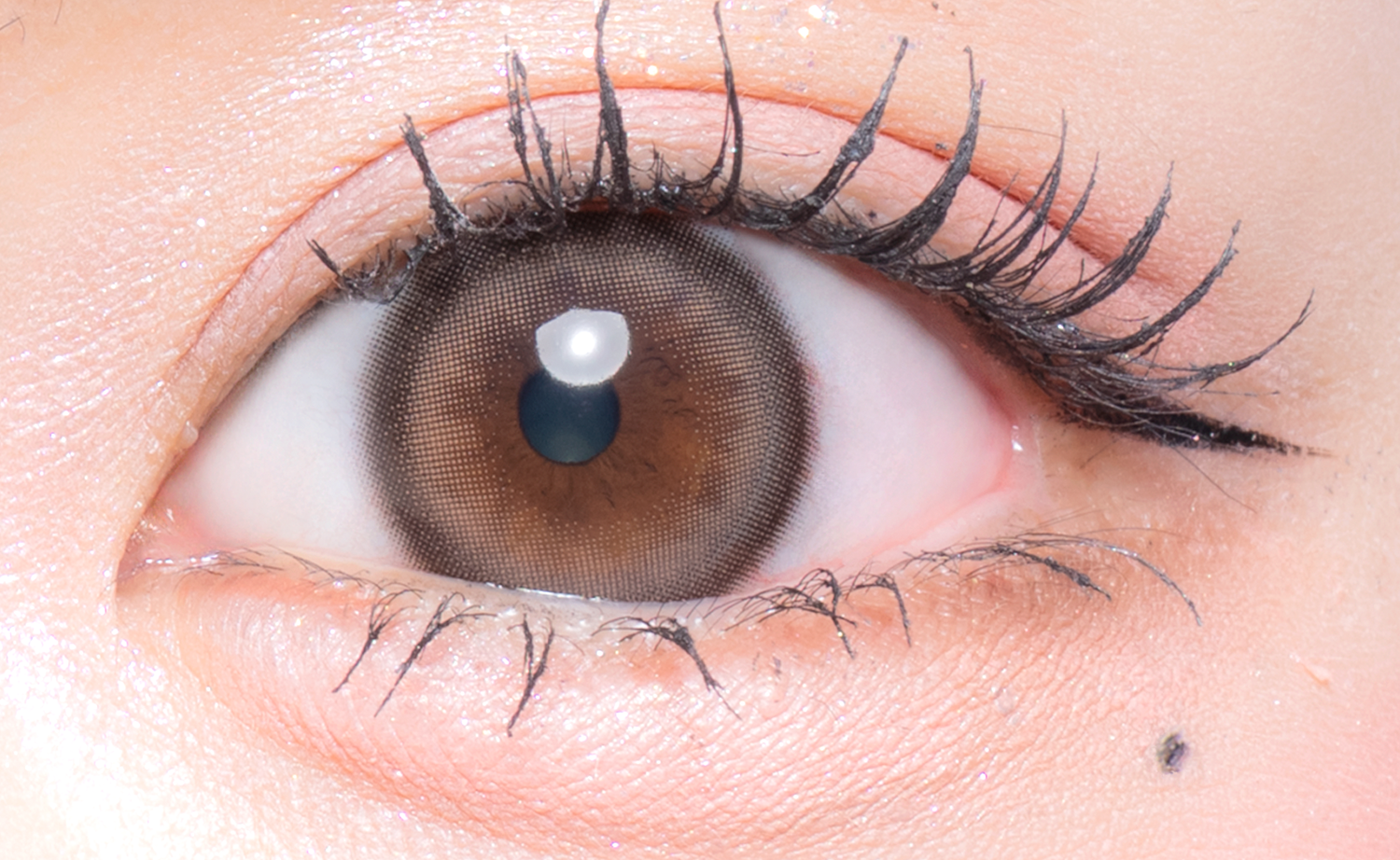 Flurry by colors 1day リングラージブラウン(ぱちくりベアー)