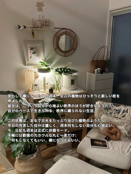 アネトス バランシング トリートメントクリーム/Anetos/フェイスクリームを使ったクチコミ(6枚目)