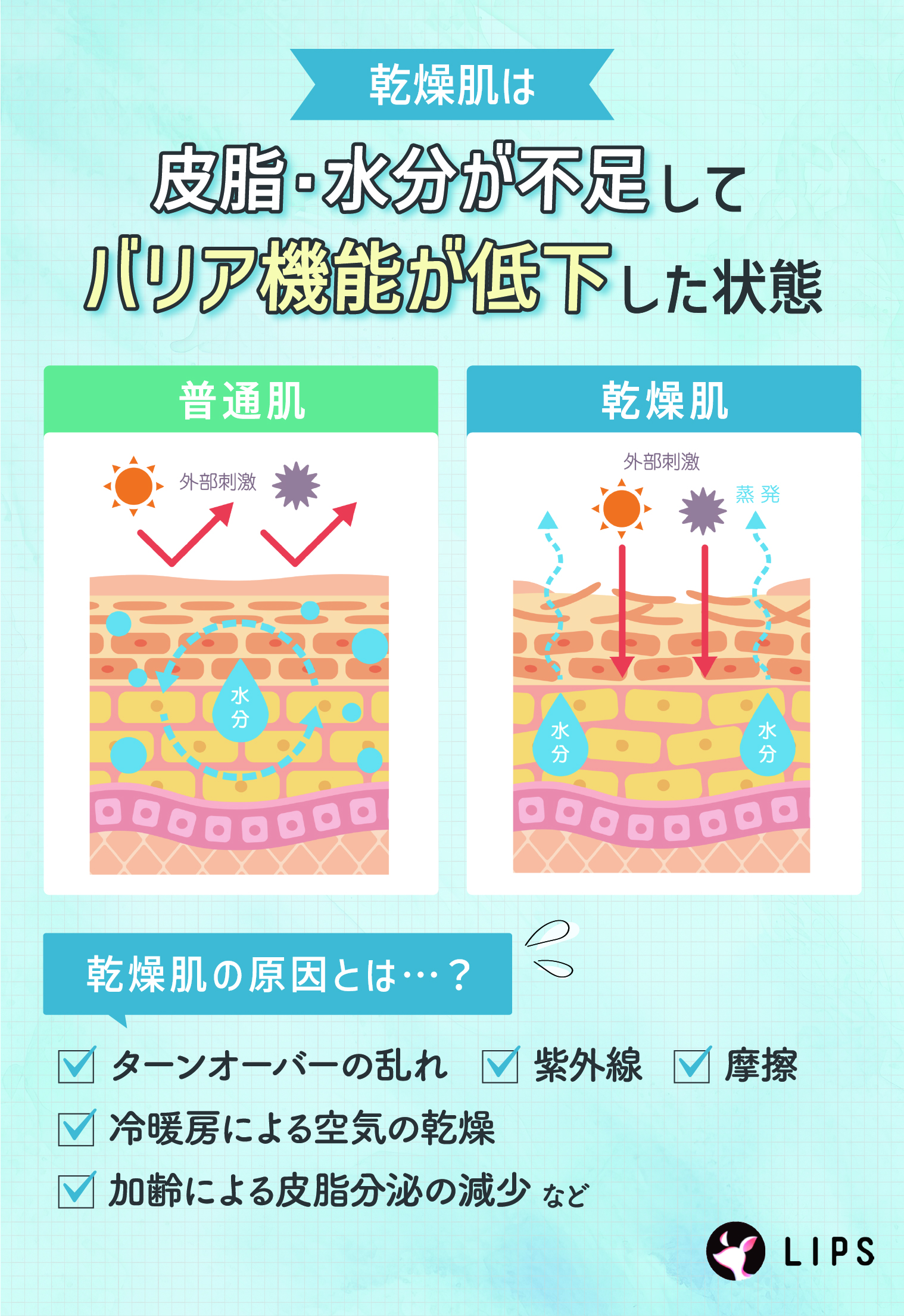  乾燥肌は皮脂・水分が不足してバリア機能が低下した状態。乾燥肌の原因はターンオーバーの乱れ・紫外線・摩擦・冷暖房による空気の乾燥・加齢による皮脂分泌の減少など。