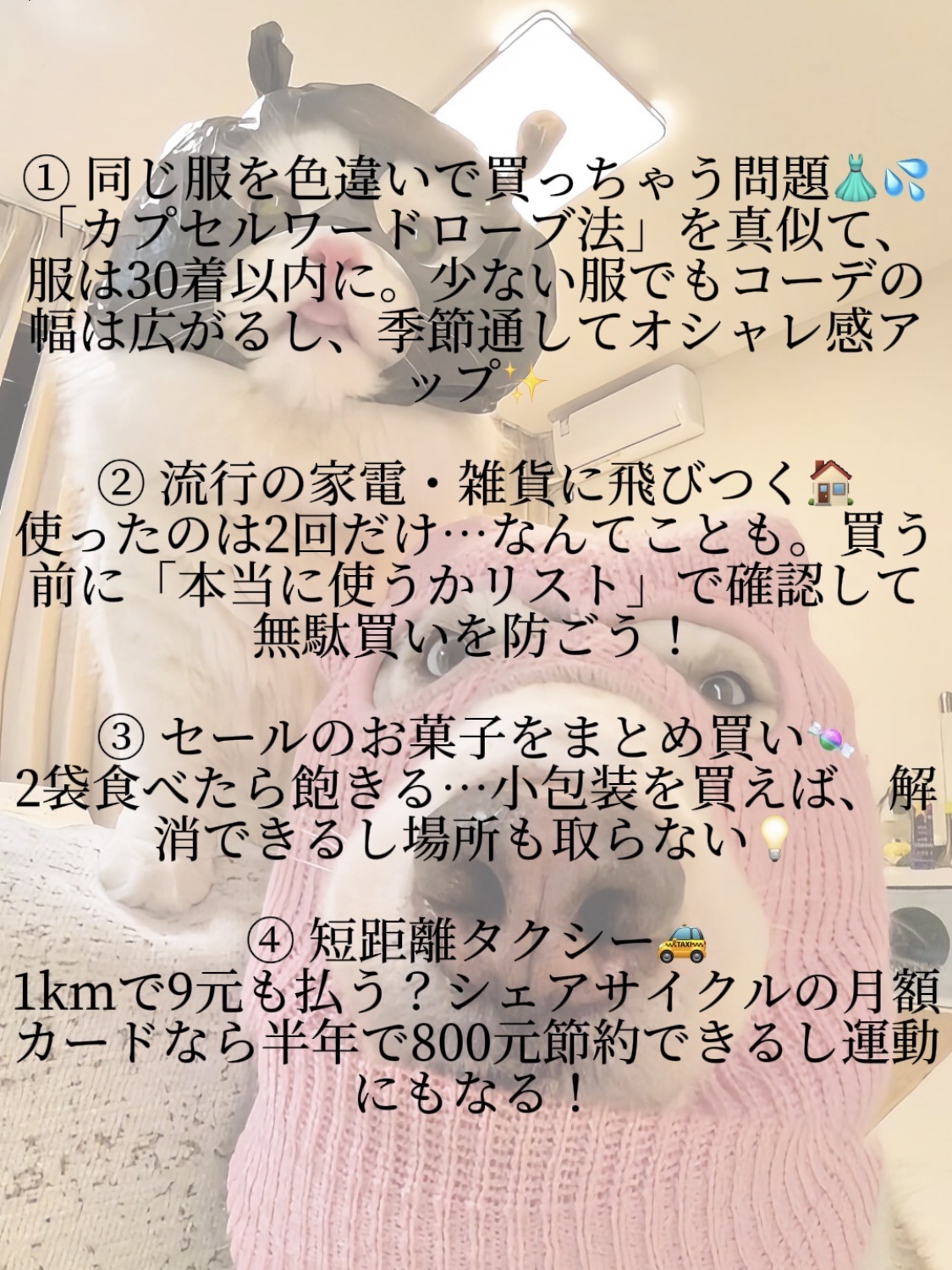 アネトス バランシング トリートメントクリーム/Anetos/フェイスクリームを使ったクチコミ（2枚目）